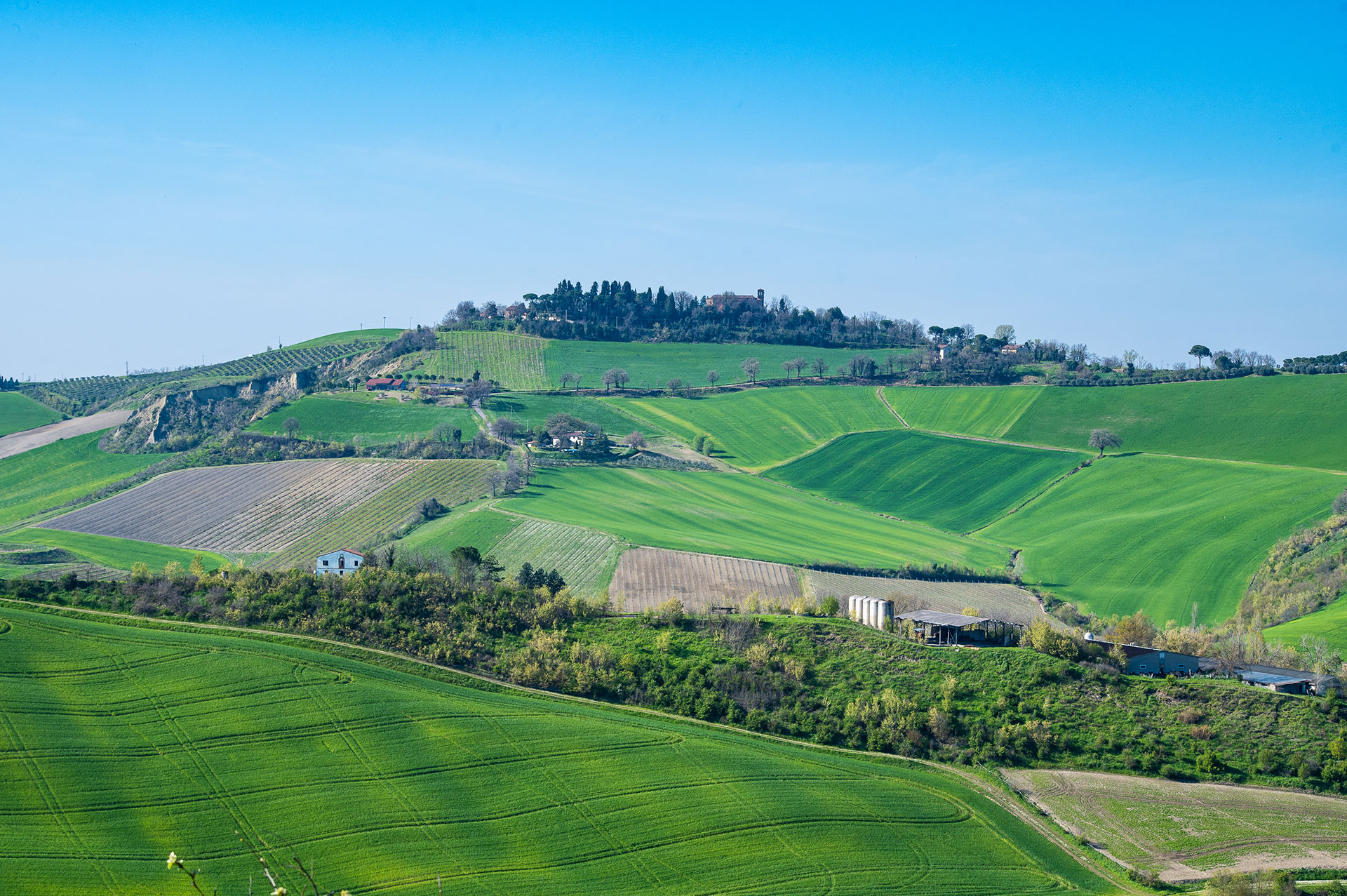 Dolce Colline Bed & Breakfast Dozza / Bologna / Emilia Romagna