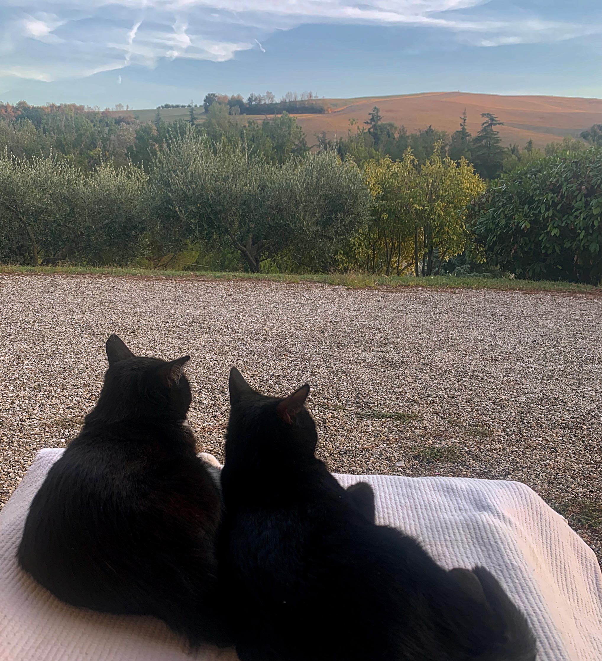 Dolce Colline Bed & Breakfast Dozza / Bologna / Emilia Romagna