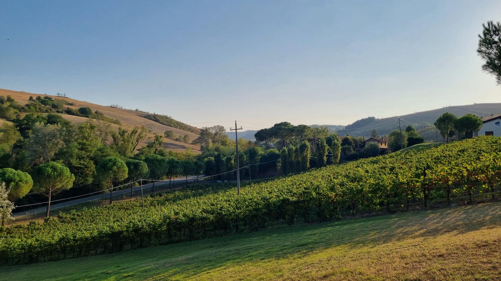 Dolce Colline Bed & Breakfast Dozza / Bologna / Emilia Romagna